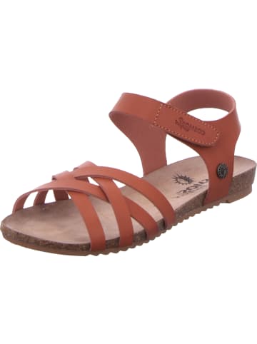 Cosmos Comfort Sandale in braun