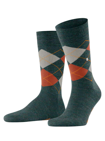 Burlington Socken Edinburgh in Jade