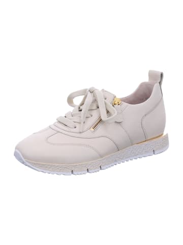 Gabor Sportliche Schnürschuhe in Beige