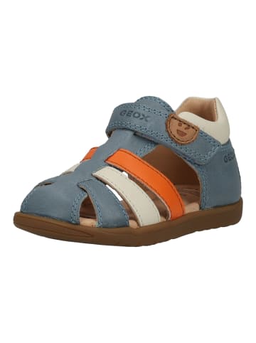 Geox Sandalen in Blau/Orange