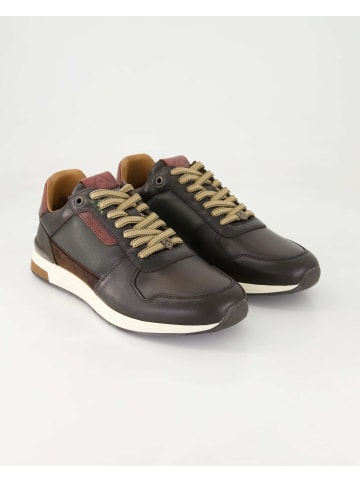 Ambitious Sneaker low in Braun