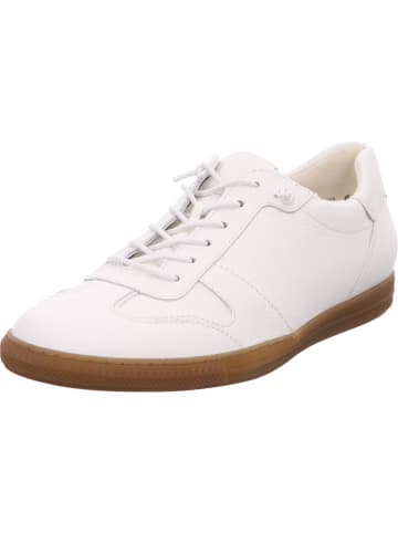 Paul Green Sneaker in weiß
