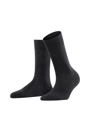 Falke Socken 1er Pack in Anthrazit