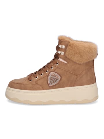 BLAUER USA Schnürboot Maribel in Cognac