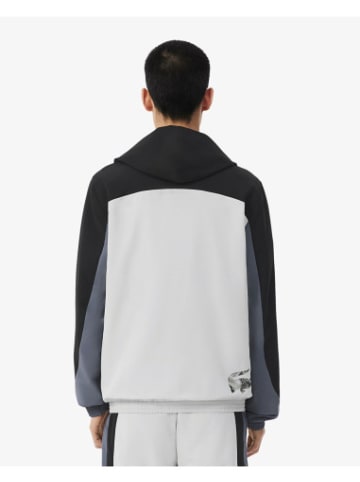Lacoste Trainingsjacke in Patisson/Urbain-Noir