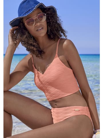 Sunseeker Crop-Bikini-Top in peach