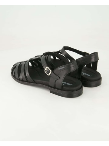 Pikolinos Sandalen