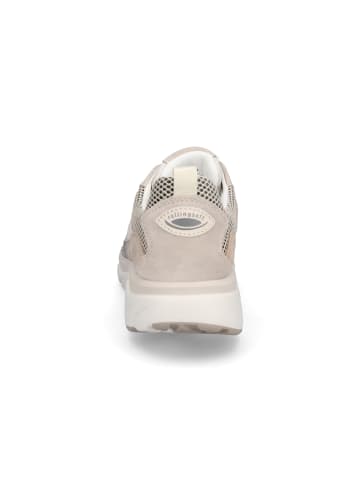 Gabor Comfort Sneaker in Beige Multi