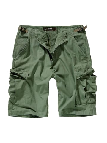 Brandit Shorts in olive