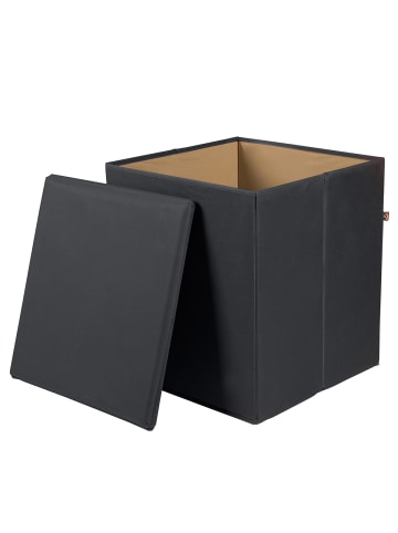 Phoenix Group AG   Sitz-und Aufbewahrungsbox "Stor'It" in Schwarz - (B)41 x (H) 44 x (T)41cm