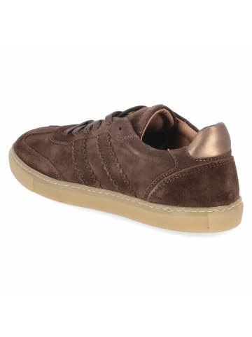 Fräulein Frida Schnürhalbschuh in grau