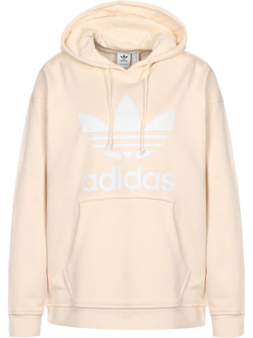 adidas Kapuzenpullover in AE6S