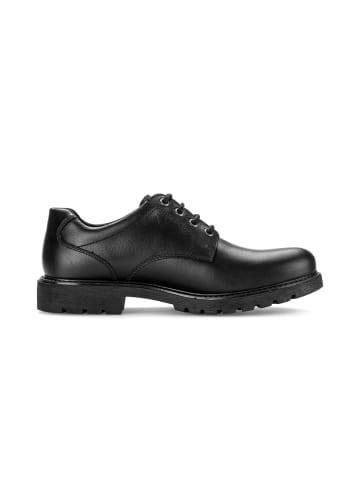 Pius Gabor Schnürschuhe in schwarz