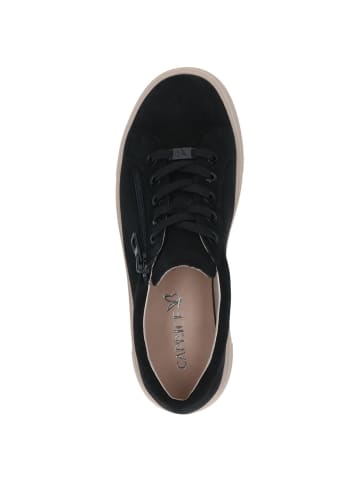 Caprice Sneaker in BLACK SUEDE