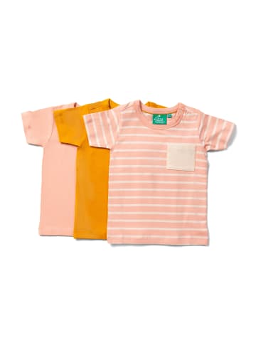 Little Green Radicals Bio-T-Shirt-Set 3er-Pack in Bunt