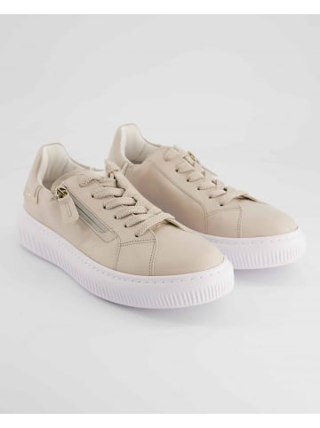 Gabor Comfort Sneaker in Beige