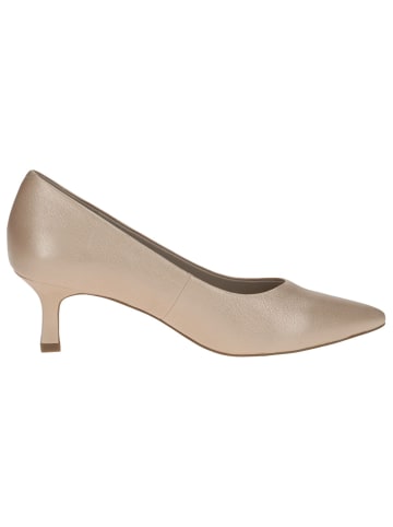 Caprice Pumps in BEIGE PERLATO