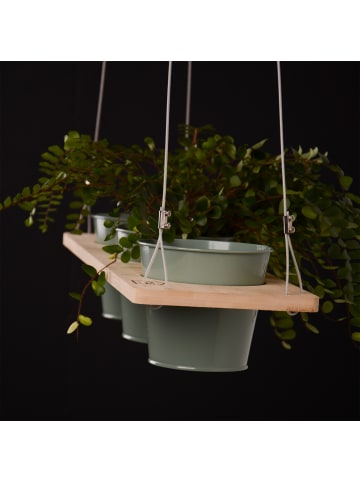 UNUS Kräuterregal, Pflanzenhalter in Natur