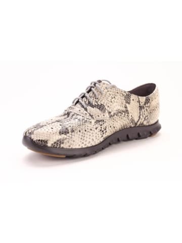Cole Haan Schuhe W05145 in Beige