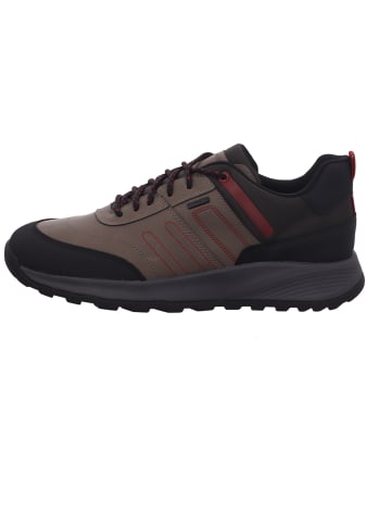 Geox Sneaker in grau