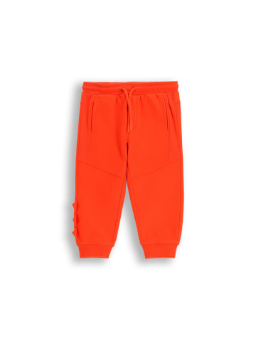 Coccodrillo Jogginghose in rot