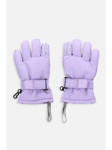 Coccodrillo Handschuhe in violett