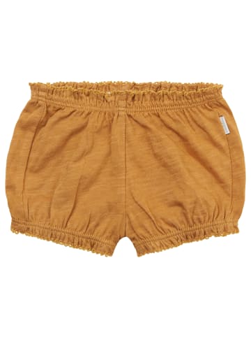 Noppies Shorts Norman in Apple Cinnamon