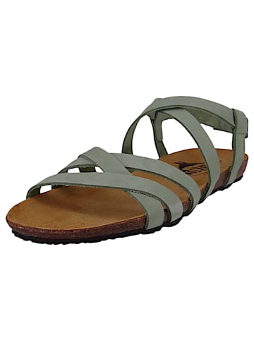 Plakton Sandalen grün