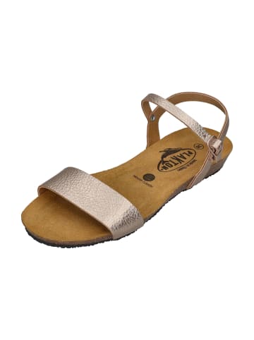 Plakton Sandalen FRAN AMBO 405725 in natur