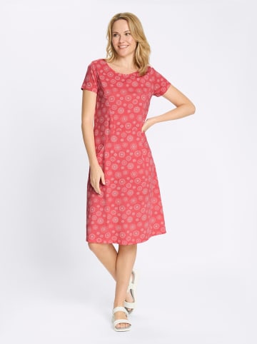 Sieh an! Jersey-Kleid in grapefruit-weiß-bedruckt