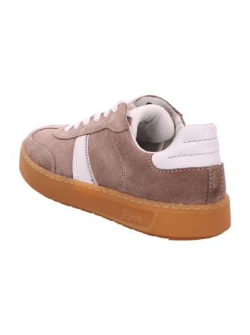 Sioux Sneaker Low in Beige