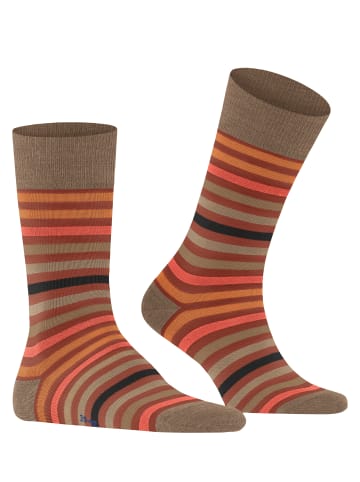 Falke Socken Tinted Stripe in Port royal