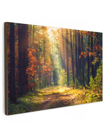 MuchoWow Leinwand Bilder Waldpfad