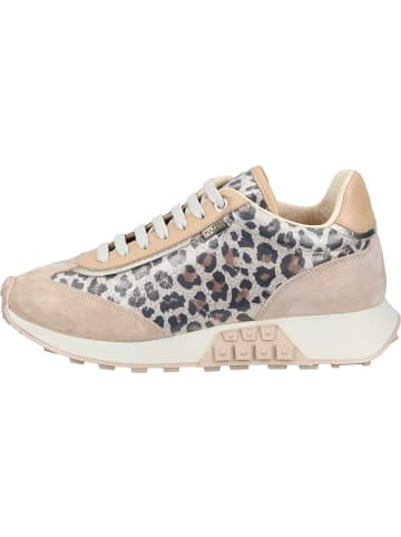 Piazza Sneakers Low in bunt