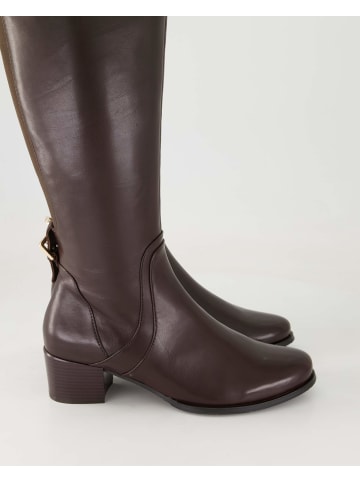 Terry Klassische Stiefel in Braun