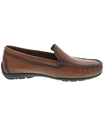 LLOYD Emilio Mokassin Braun