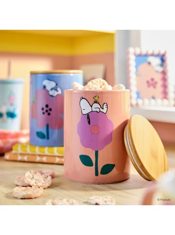 Butlers Aufbewahrungsdose PEANUTS in Blau