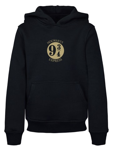 Absolute Cult Absolute Cult Kapuzenpullover in black