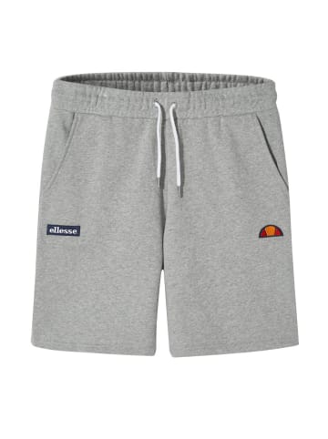 ellesse Shorts in Grau