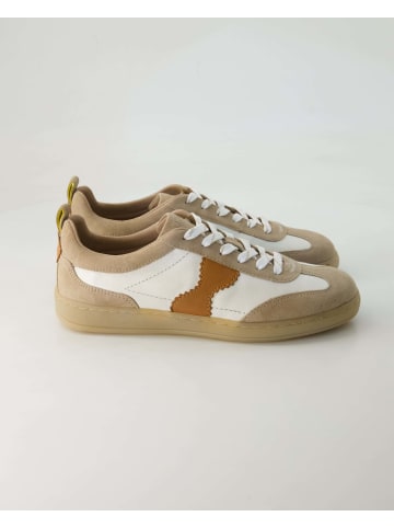 SALAMANDER Sneaker low in Beige