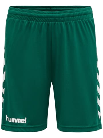 Hummel Anzug Raglanärmel Core Kids Fußball Kinder in EVERGREEN