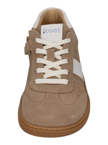 KOEL Sneaker Low DECLAN SUEDE 3.0 in natur