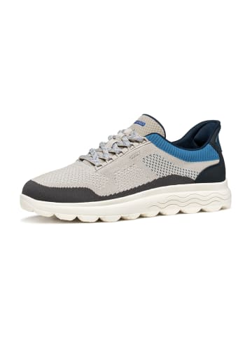 Geox Sportliche Schnürschuhe in Grau