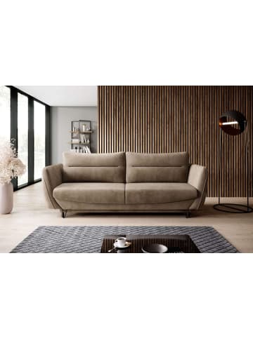 MF Design Sonic in Braunbeige -  (L) 236 x (B) 236 x (H) 90 cm