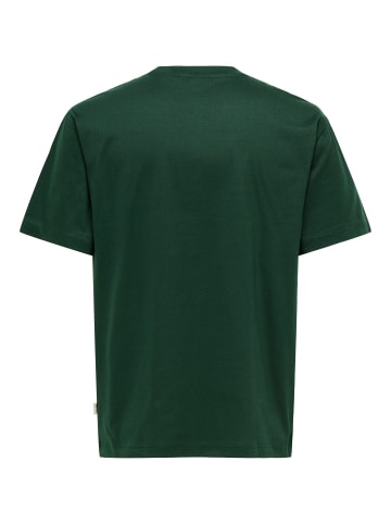 ONLY & SONS T-shirt in Pine Grove