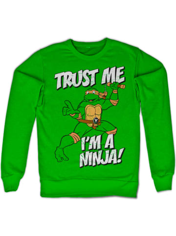 Teenage Mutant Ninja Turtles Pullover in Grün