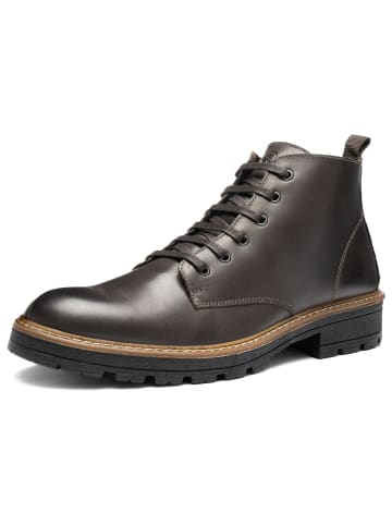 ara Stiefelette in braun