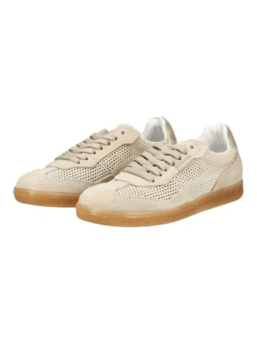 Steve Madden Sneaker in Beige