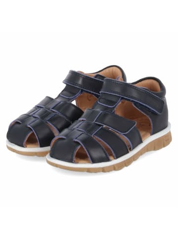 bisgaard Sandalen ANGUS in Blau