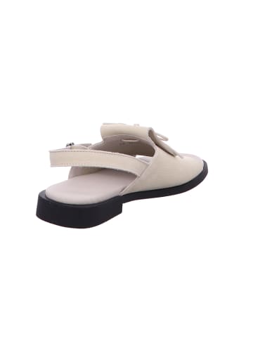 Arche Schnürschuh in blau